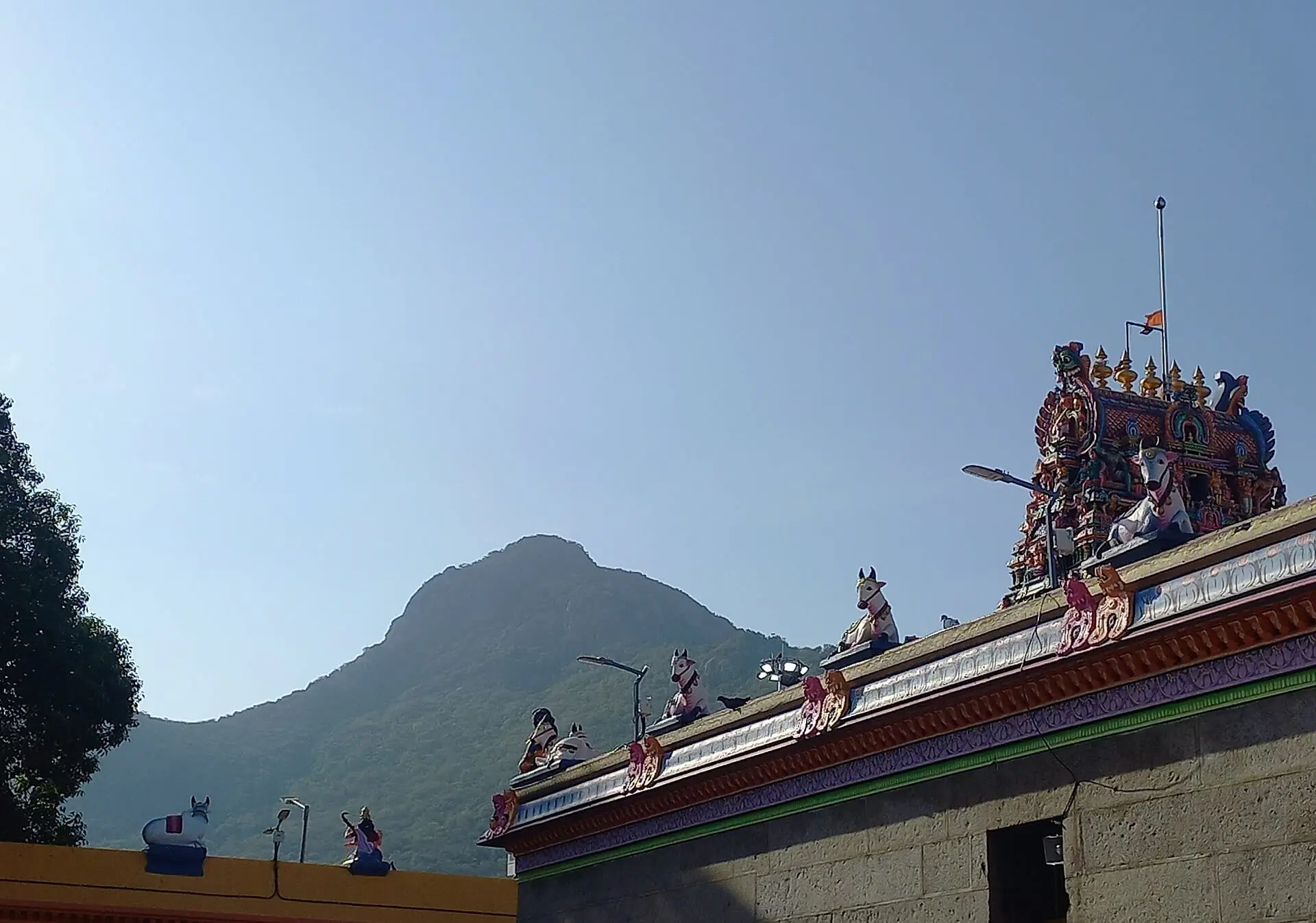 Arunachala hill behind the painted Nandi figures on the roof of Adi Annamalai temple