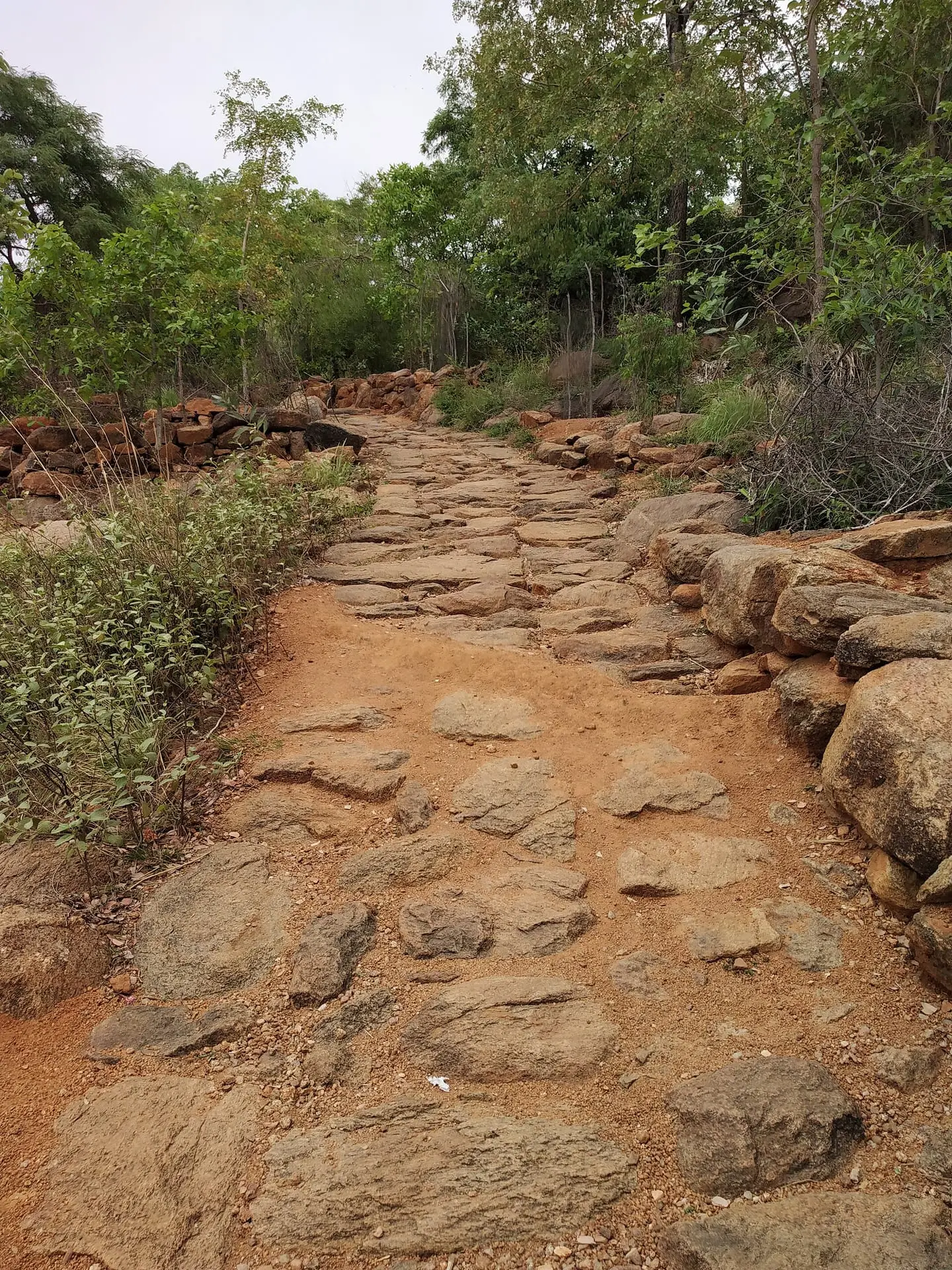 The stone-paved footpath climbing through dry forest towards Skandashram on Arunachala